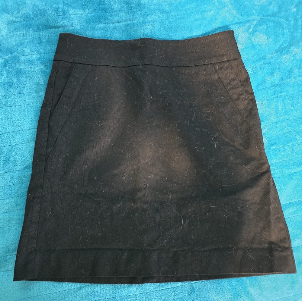 Ann Taylor Loft Skirt